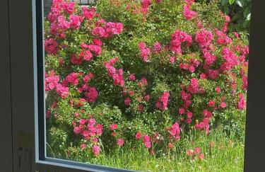 Beautiful 19th century host house near from Etretat - Foto 28