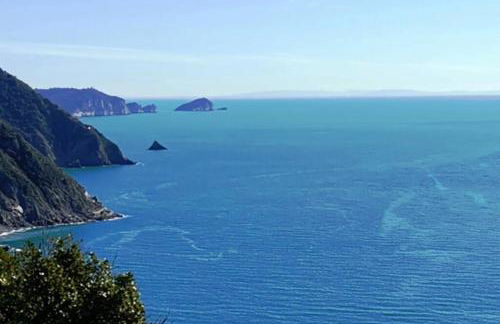 Auri's Home - Foto 23