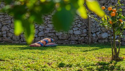 L'antica Pigna Chateau - Foto 5, Garden, Garden view
