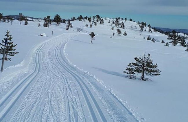 Ski Lodge & Apartments Gautefall - Foto 74