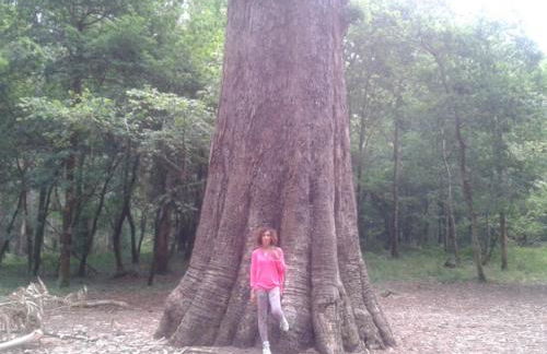 Apartamento Viveiro, Terraza Grande, 2 dormitorios 2 baños, piscinas, parking, tenis, club social - Foto 62