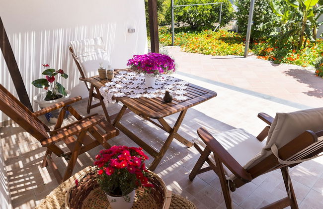 Orange Park - Photo 26