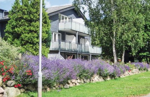 Strandläufer - Foto 1