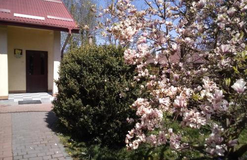 Apartamenty i pokoje Pluszak - Foto 40