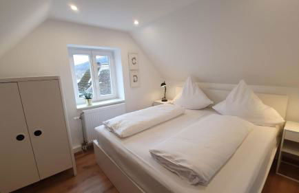 Ferienwohnungen Flussufer - Neckargemünd Altstadt - Foto 5