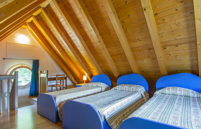 Viola (BLU601) - Foto 24