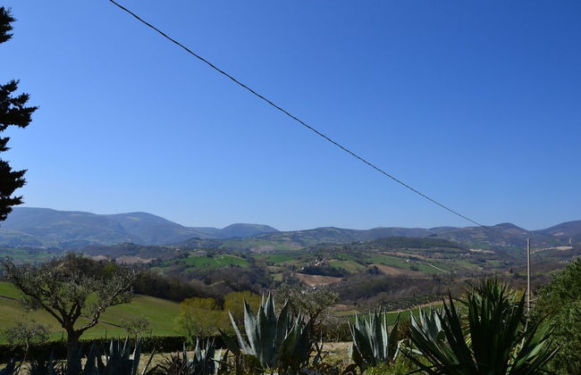 Agriturismo Villa Rosetta - Photo 59