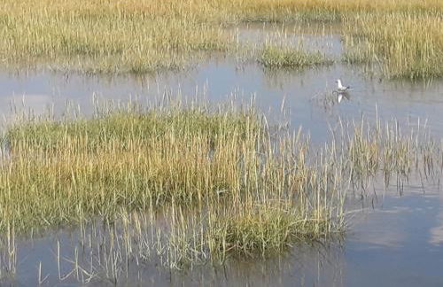 Haus Heimathafen Fedsiel - Foto 21