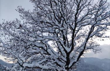 Cascina Bruna - Terrazza panoramica e giardino a Bobbio, Val Trebbia - Foto 56