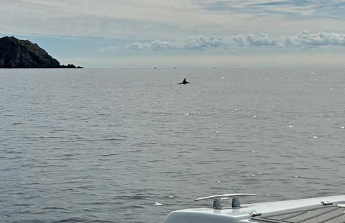 VILLA VUE MER sur la presqu'ile de GIENS - Foto 31