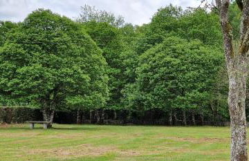 Habitaciones La Cuevona de Guitiriz,Parga, en el camino norte Lugo - Photo 51