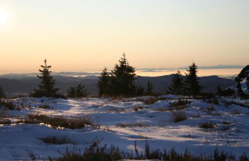 Apartments Josef Seitz - Foto 45