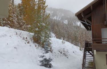 les chalets de puy st vincent - Foto 19