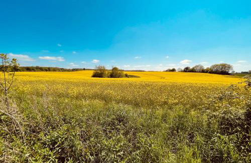 Haus am Meer - Foto 22