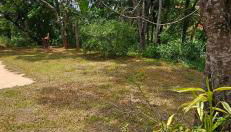 Sítio Lamounier - Foto 4