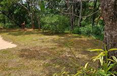 Sítio Lamounier - Foto 4