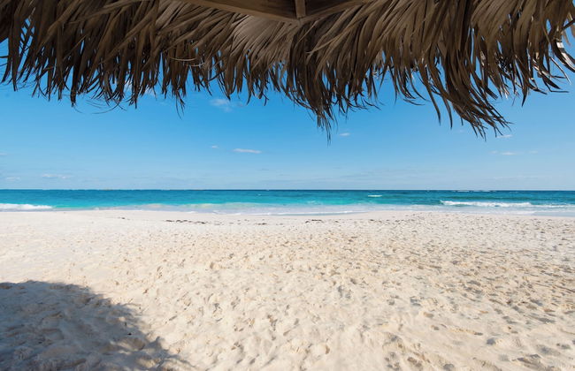 Pineapple Fields Boutique Condo Hotel - Foto 40