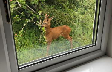 Yellowham Farm, Dorchester - Photo 43