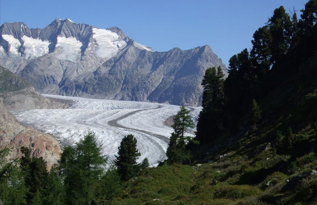 Amici 1. OG West - Foto 11