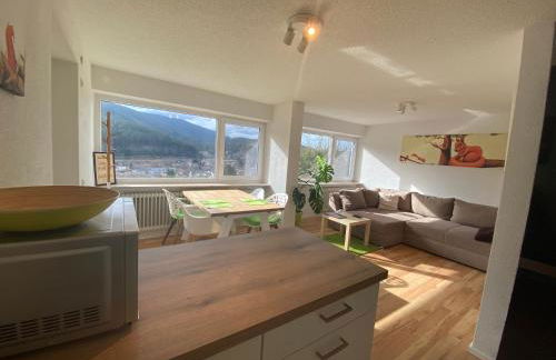 Hochschwarzwald Ferienwohnung - Foto 8