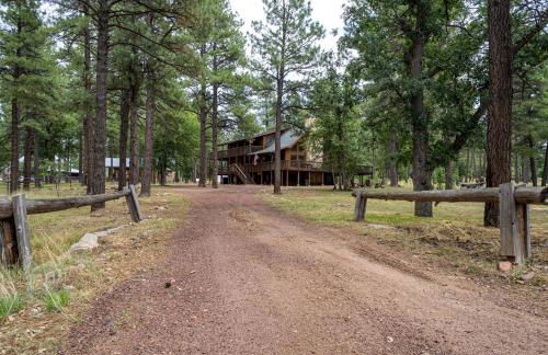 The Lodge Large Cabin, 17 Acres, Playground, Forest Access - Foto 63
