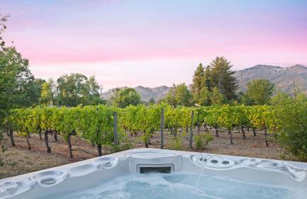 Vineyard Estate w Pool Spa Bocce Ball Mins to Wineries Park Lawndale Manor by AvantStay - Foto 42