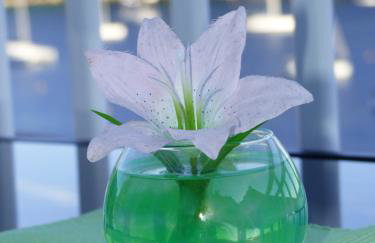 Apartments Pavlić - Photo 52