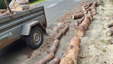 Cal Rosetó - Foto 4