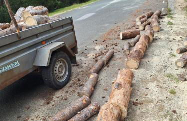 Cal Rosetó - Foto 4