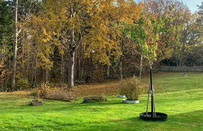 12 Person Holiday Home in Nosund-by Traum - Foto 46