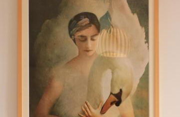 Le gîte de la glycine - Photo 9