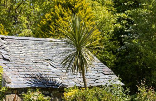 Plas Newydd with Swimming Pool, Fire Pit, and Log Fires - Photo 63