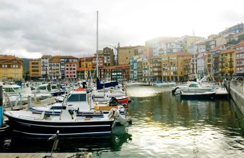 Bermeo y Urdaibai - PARKING-Ascensor - WIFi - tranquilo - Foto 31