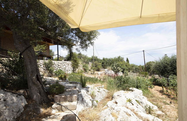 Anemos Studio - Foto 17