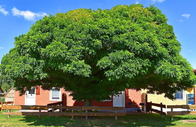 Apartment in Mirow by Lake Vilzsee - Photo 30