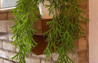 Sequoia Zen River House - Foto 34