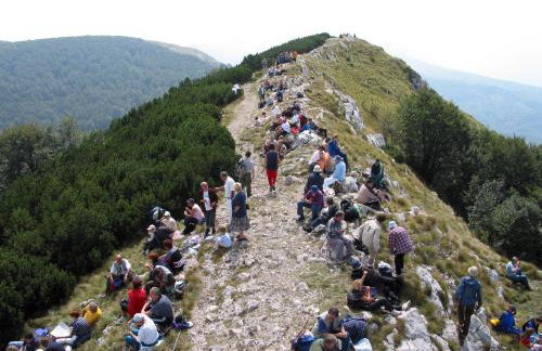 Apartment Gabi - Foto 44