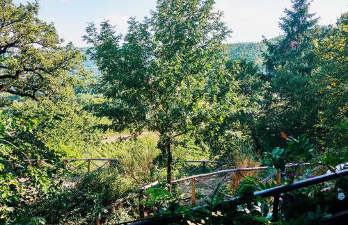 Agriturismo Borgo Ornina - Foto 60