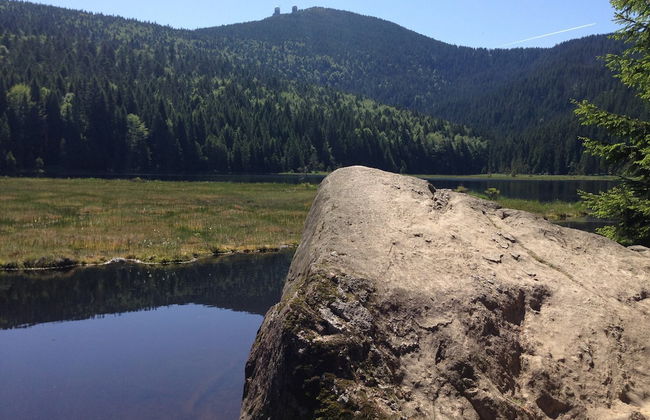 Bavaria Modern Family Stay - Photo 37