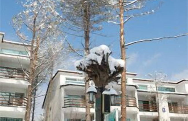 Eastern Vill - Photo 38