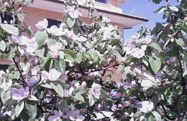 Diamante House 763 - Foto 43