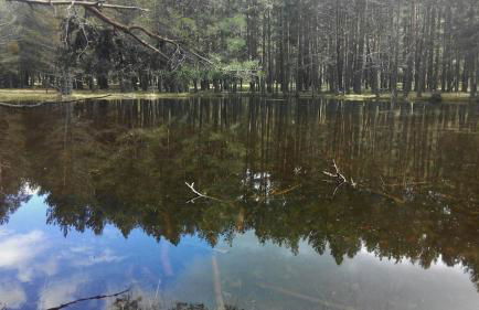 Ático con chimenea en Bronchales - Foto 16