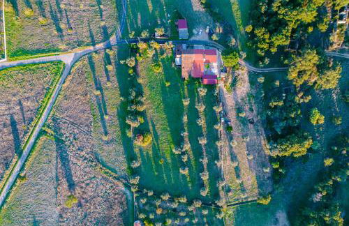 Casa das Mouriscas - Foto 31