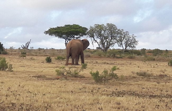 Little Sister's Self Catering - Photo 34