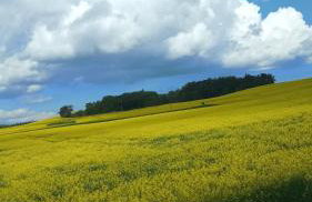 Fischstübchen Neeberg Fewo 6 – Seeadler - Foto 55