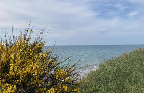 Atelierwohnung Götze - Foto 10