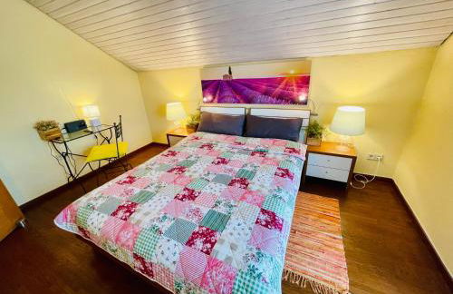 Paradies an der Donau - Foto 14