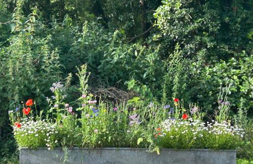 Cosy Devon Hut Woodland Views - Photo 51