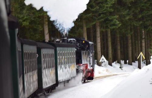 Ferienhaus Kohlmeise - Foto 10