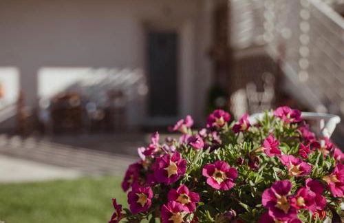 Cetinale Apartments - Foto 54